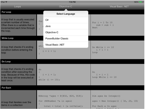 Application de référence rapide du langage de programmation Coder's Stone pour iPhone -