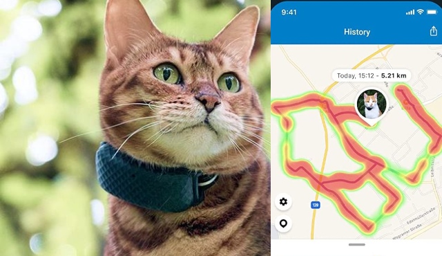 Traqueur GPS pour chat connecté à l'application Tractive -