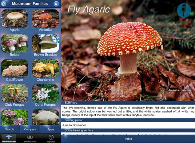 4 applications d'identification des plantes pour iPhone -