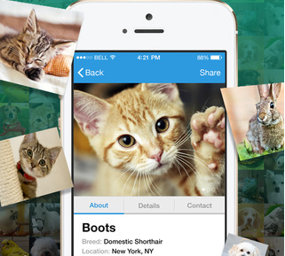 5 applications iPhone pour l'adoption d'animaux -