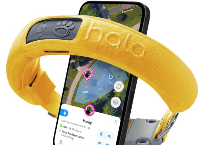 Clôture GPS portable pour chien Halo Collar 3 avec application de formation -