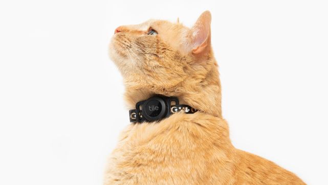 Tile for Cats vous permet de suivre votre animal de compagnie avec votre iPhone ou votre appareil Android -