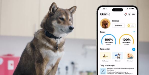 Localisateur intelligent d'animaux de compagnie Furry Tag App avec NFC -